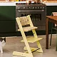 Стульчик для кормления Stokke Tripp Trapp