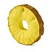 Ananas The Pineapple