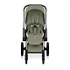 Коляска 2в1 Cybex Priam Style Rosegold