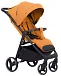 Amber Orange 2024
