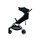 Коляска 2в1 Anex iQ Premium