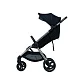 Коляска 2в1 Anex iQ Premium
