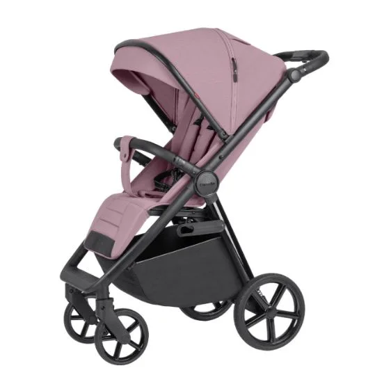 Blush Pink 2024
