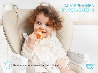 Ниблер Roxy Kids для прикорма с силиконовой сеточкой Monkey