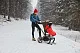 Полозья для коляски Cybex PRIAM