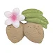 Aly The Almond