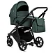 1352240 Pacific green