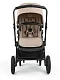 Коляска 2в1 Bugaboo Cub complete