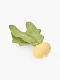 Игрушка-шуршалка Happy Baby Репка