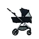 Коляска 2в1 Anex iQ Premium