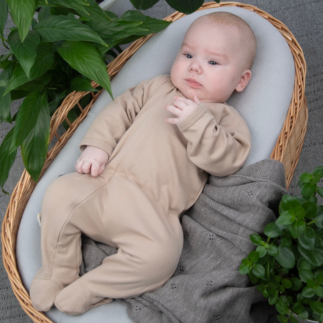 6658314303_optsite71a679fa-bc32-11ee-85b1-b45c61946e50 Комбинезон слип на молнии Швейная Династия "Капучино", 2 шт/уп 7