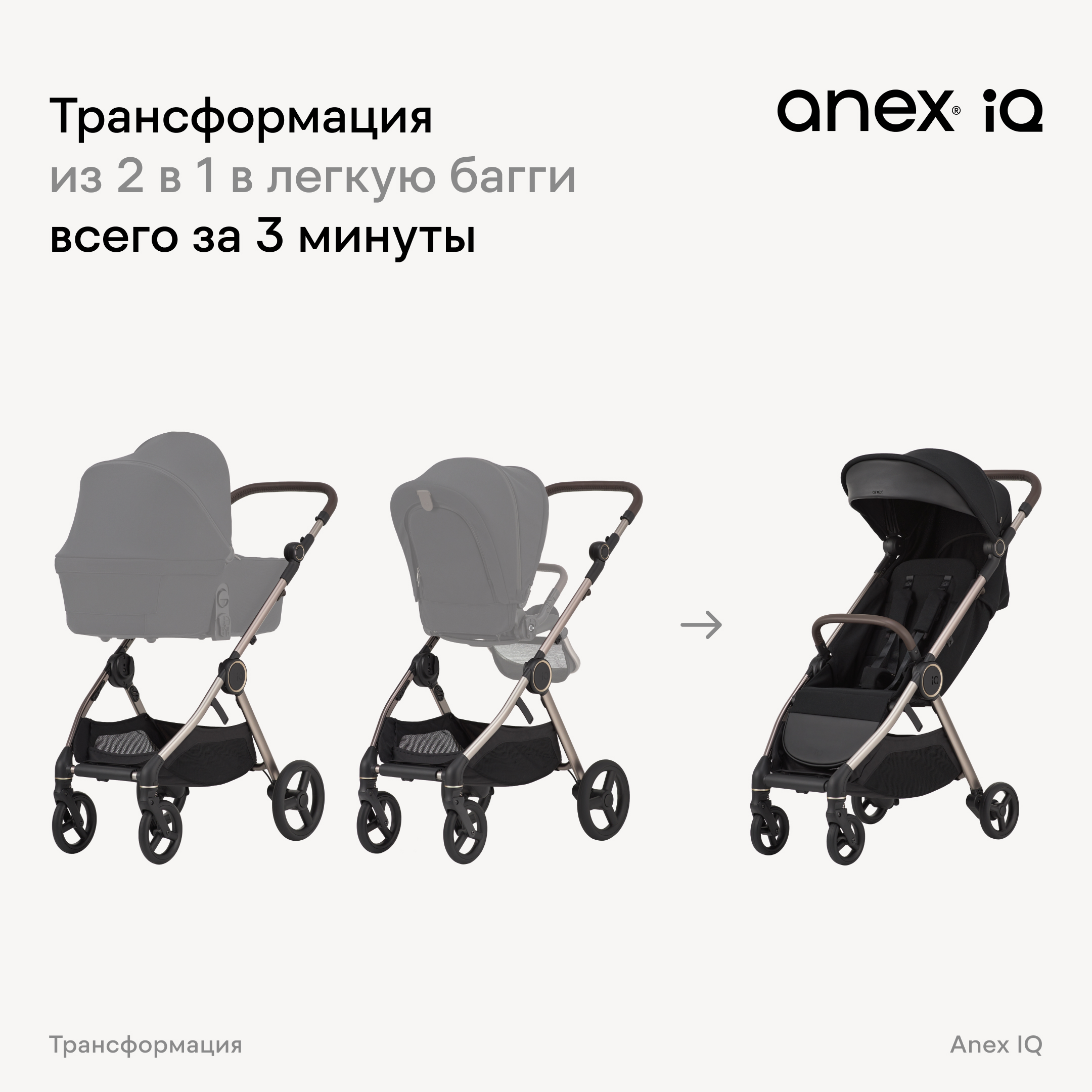 Коляска 2в1 Anex IQ Premium NEW 18