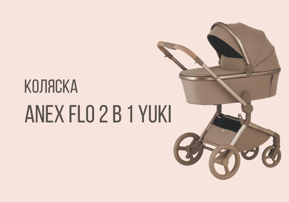 Коляска ANEX FLO от бренда ANEX