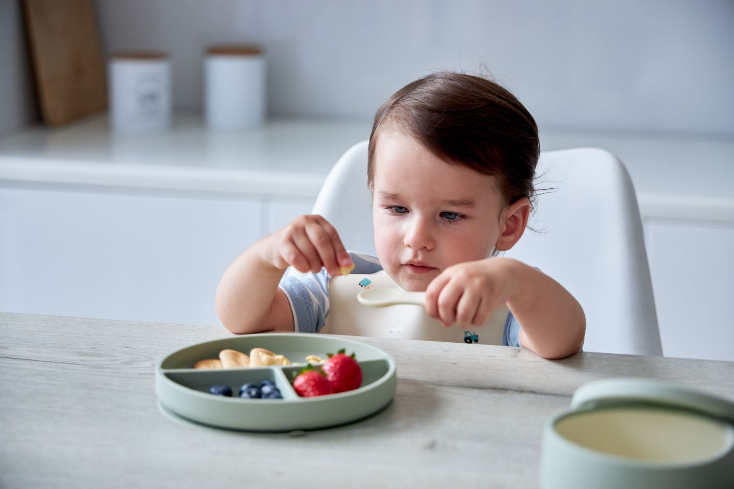 Секционная тарелка на присоске Edda, Мимоза 4