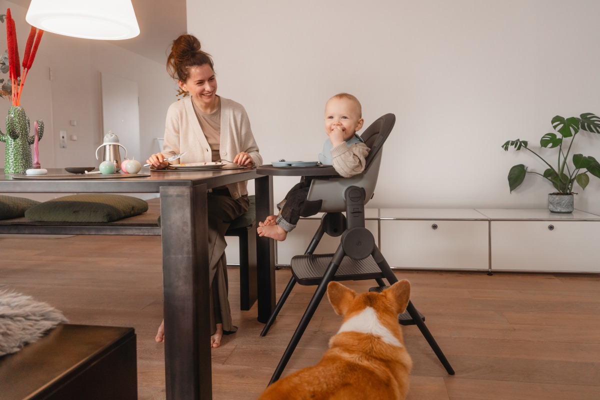 29375_Cq36 Стул-трансформер для кормления ANEX OZY 32