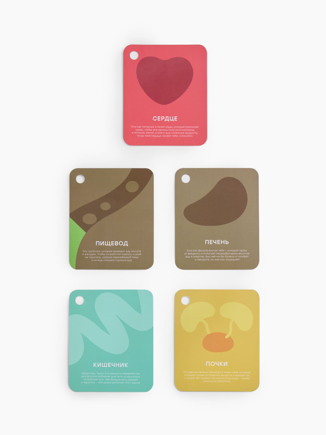 Мягкая игрушка Happy Baby ,FUNNY ANATOMY «ФАНИ АНАТОМИ»