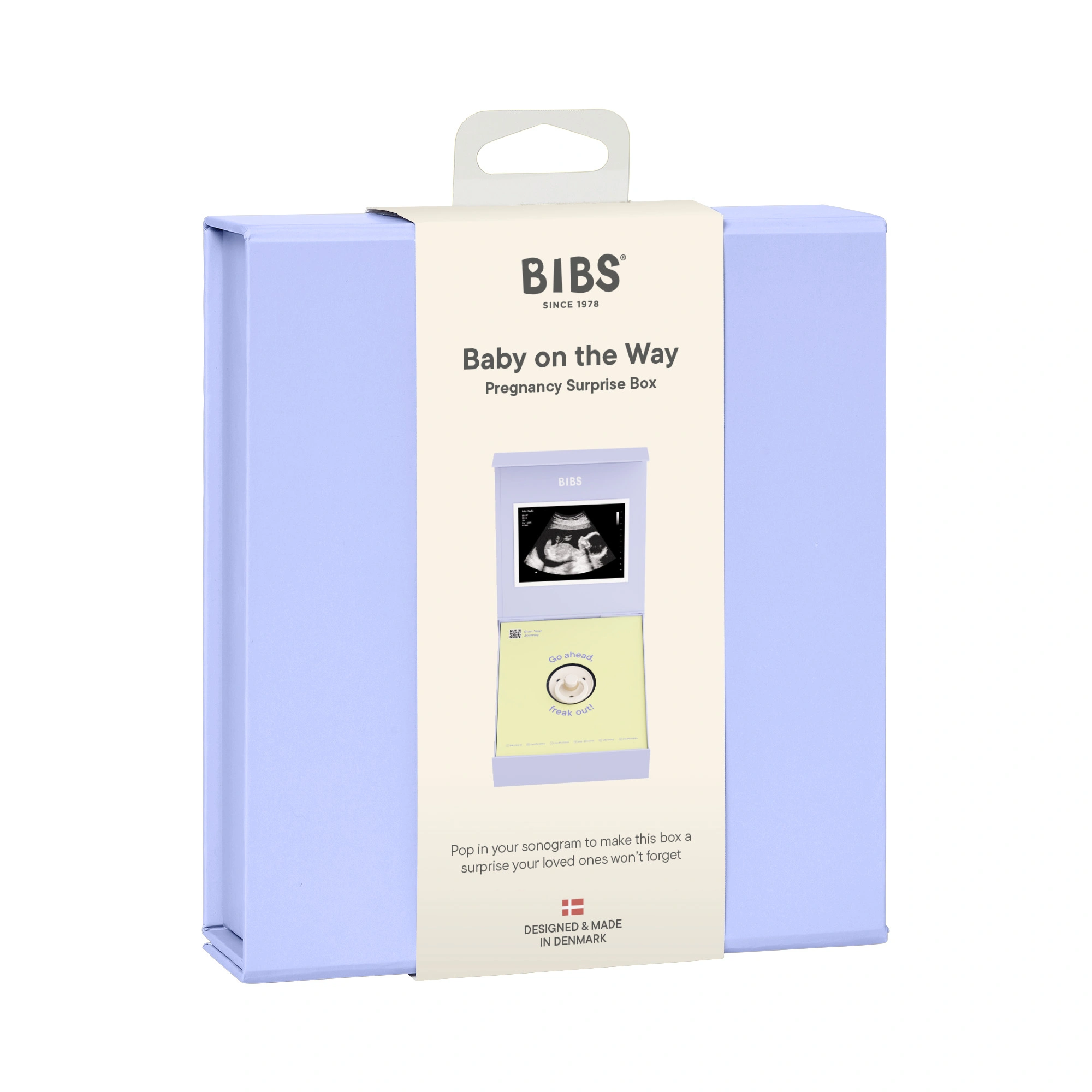 Подарочный набор пустышка латексная BIBS Colour «Baby on the Way», 0+ мес.