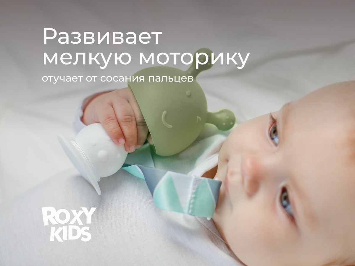 Прорезыватель Roxy Kids силиконовый Грибочек в футляре
